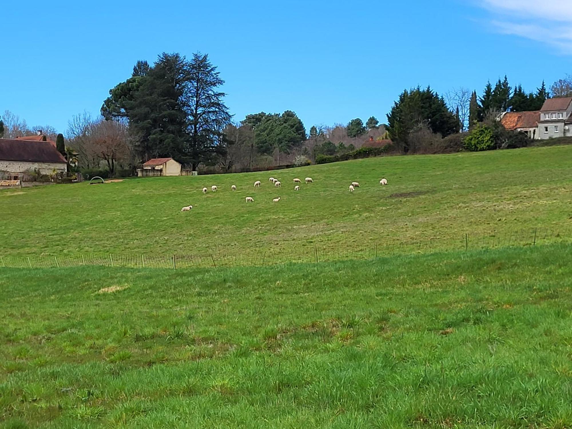 La Grange Du Chateau Boissieres  Kültér fotó
