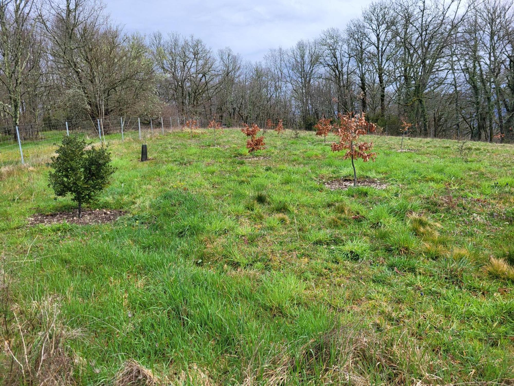 La Grange Du Chateau Boissieres  Kültér fotó